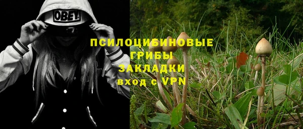 экстази Медвежьегорск
