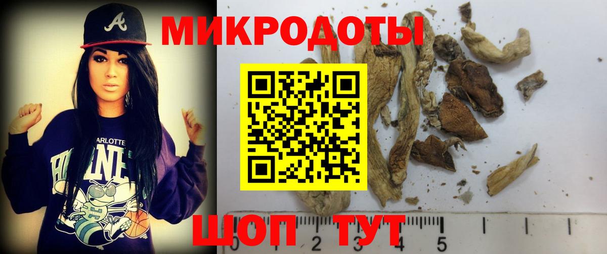 Галлюциногенные грибы GOLDEN TEACHER Балтийск